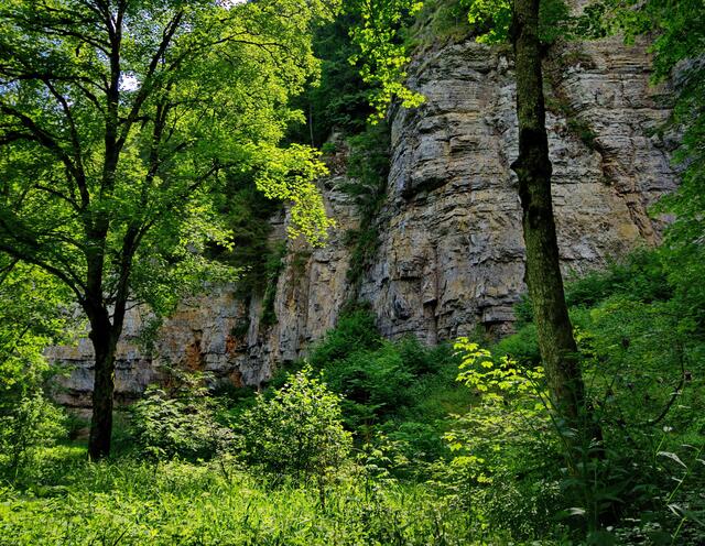 Am Ufer der Wutach