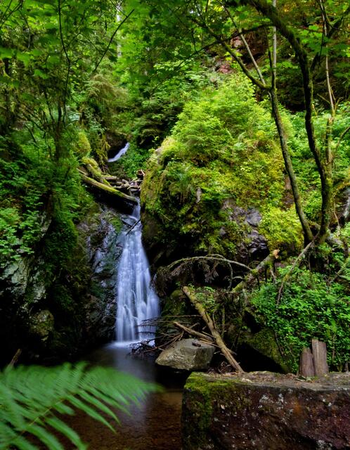 Lotenbachklamm 3