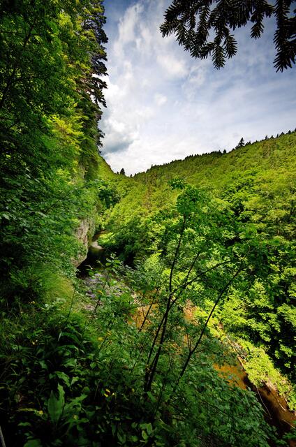 Über der Wutach