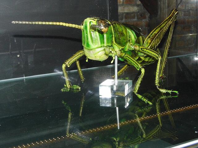 Insekten in Übergröße