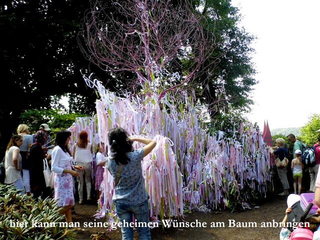 Baum mit geheimen Wünschen