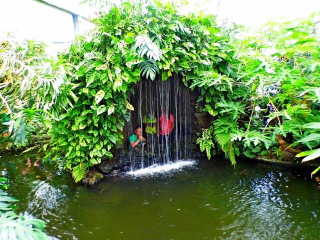 aus dem Schmetterlingshaus