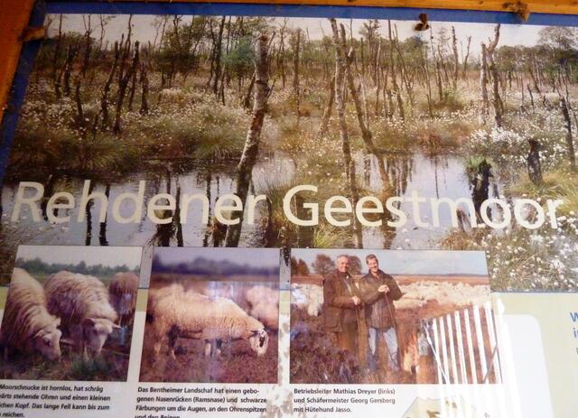 Infotafel am Aussichtsturm