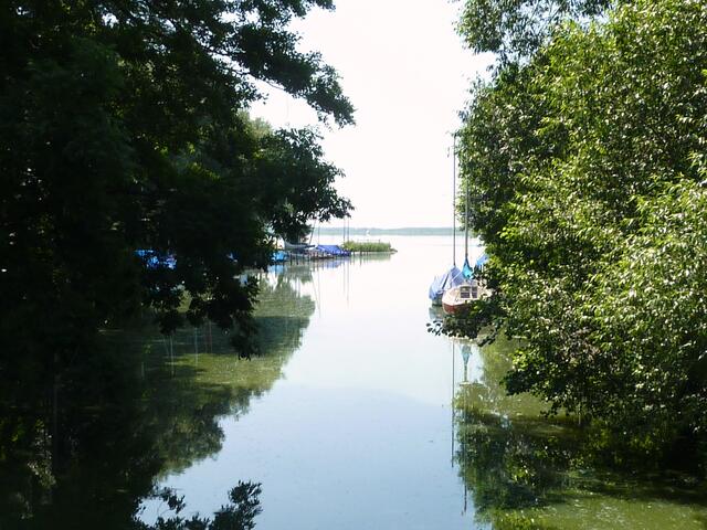 Zufluss der Lohne in den Dümmersee. Das Licht war sehr grell, so dass ich nur diese Aufnahme zeigen kann.