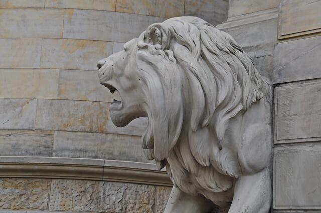 Gut gebrüllt, Löwe !!!