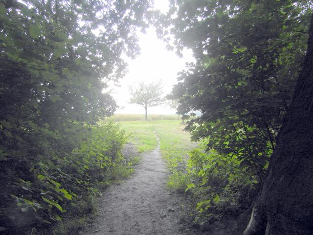 Und wieder rauss aus den Wald
