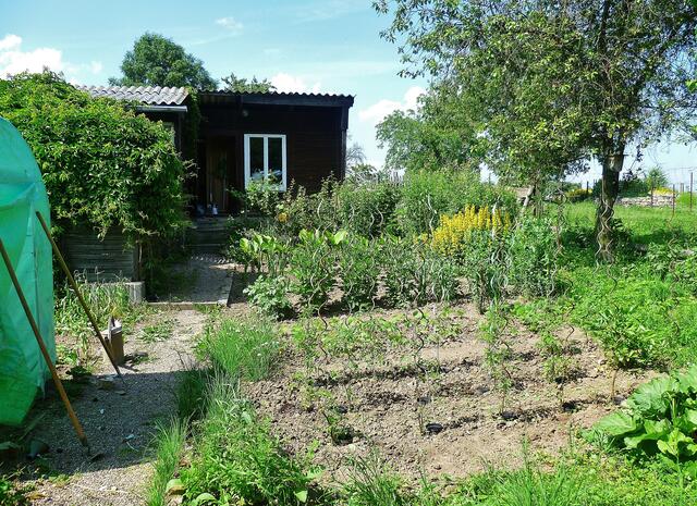 2.7.2013 - Blick zur Laube