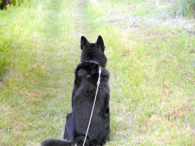 Bruno macht Pause