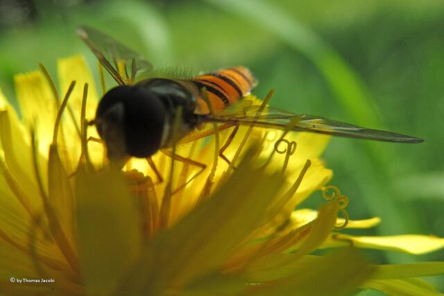 ...zwischen Licht und Schatten.