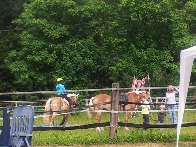Therapeutisches Reiten für die Kleinen