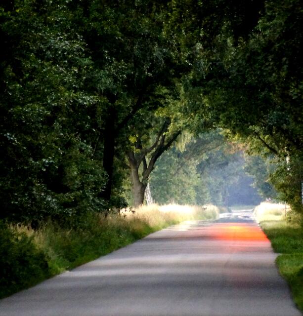 Die Sonne hinterlässt ihre letzten Farbspuren (für diesen Tag) auf dem Asphalt des Würmseeweges.