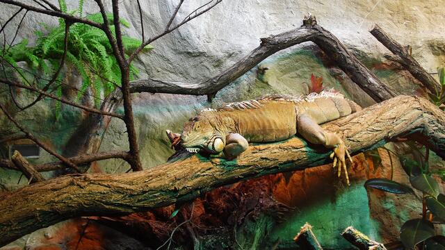 Bergzoo Halle am 18.7.2013 !