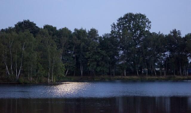 Mondschein am Springhorstsee.
MONDNACHT
Es war als hät der Himmel
Die Erde still geküßt,
Das sie im Blütenschimmer 
von ihm nur träumen müßt.

Die Luft ging durch die Felder,
Die Ähren wogen sacht,
Es rauschten leis die Wälder,
so sternklar war die Nacht.

Und meine Seele spannte
Weit ihre Flügel aus,
flog durch die stillen Lande,
als flöge sie nach Haus.
 
(Joseph von Eichendorf)