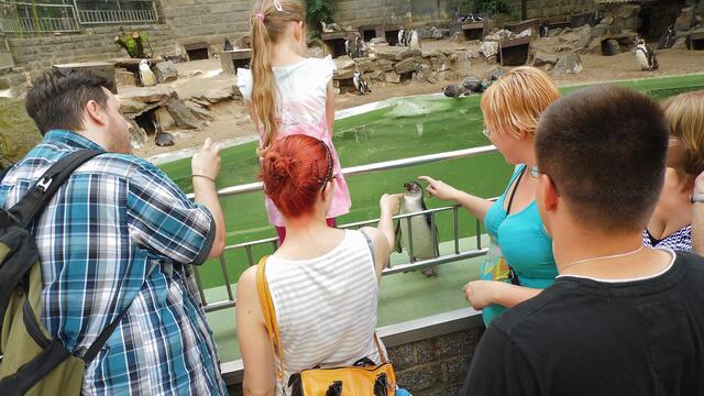 Bergzoo Halle am 18.7.2013 !