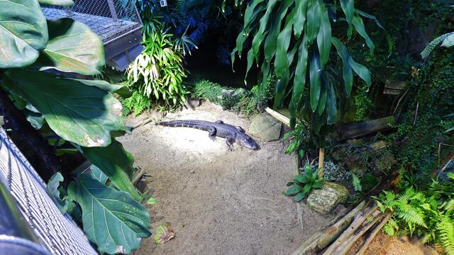 Bergzoo Halle am 18.7.2013 !