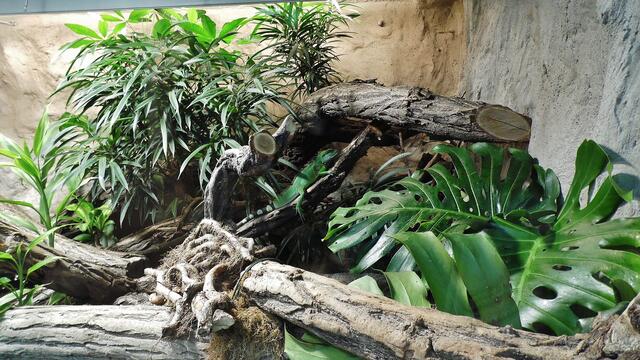Bergzoo Halle am 18.7.2013 !
