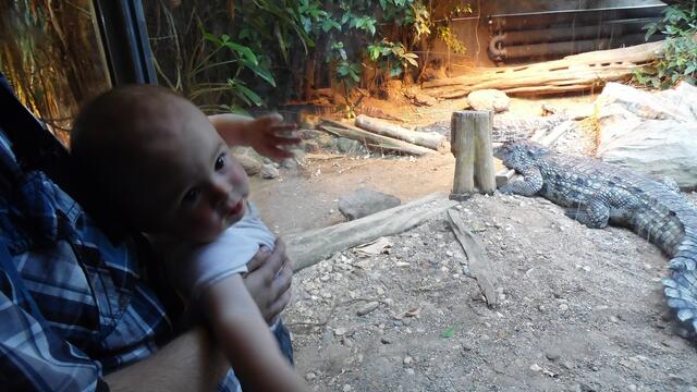 Bergzoo Halle am 18.7.2013 !