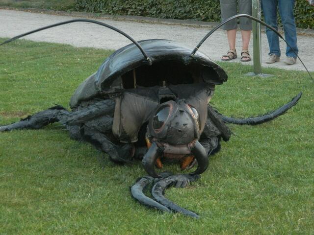 Mega Käfer