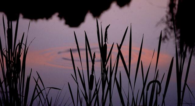 Wenn bei Burgwedel die rote Sonne im ...... versinkt.