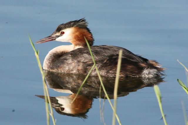 ....ließen mich sehr nah heran...