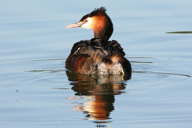 ...erst als sie langsam wegschwammen...