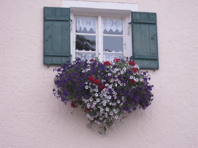Herzlichen Dank für Ihr Interesse....Die wunderschönen Blumen finden Sie auch in Kaltenberg.