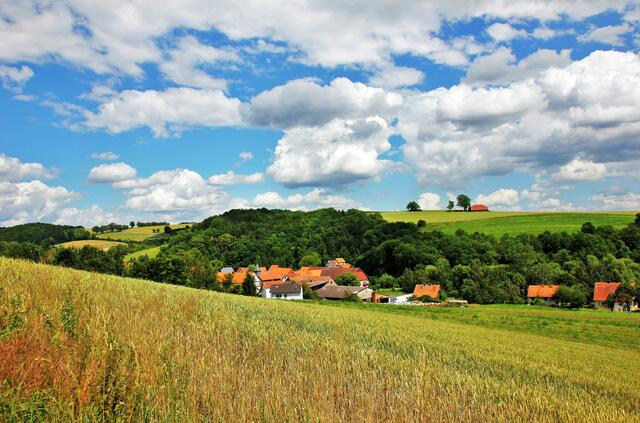 Ein toller Sommer-Schnappschuss, den Kurt Rabe eingefangen hat. Dafür haben ihm die myheimatler 33 "Gefällt mir" gegeben. | Foto: Kurt Rabe aus Edertal