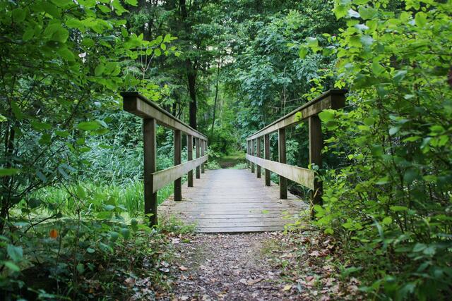 Dieses träumerische Bild hat Ali Kocaman erkannt und sofort fotografiert. Den myheimatlern gefällt es! Das beweisen die 27 "Gefällt mir" für das Bild. | Foto: Ali Kocaman aus Donauwörth