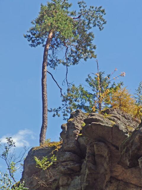 Hackelstein bei Fuchsmühl