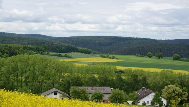 Reddehäuser Feld