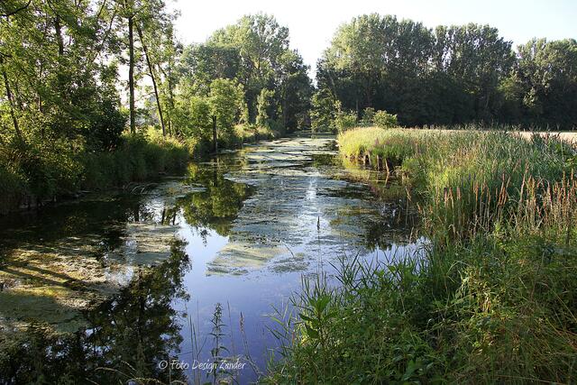 heut morgen im Naturschutzgebiet