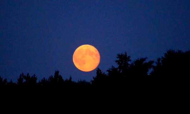 Aufgenommen am 23. Juli 2013.