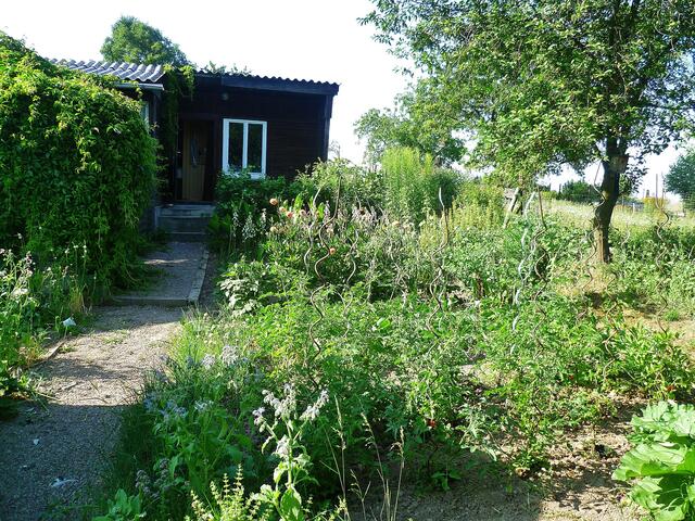 16.7.2013 - Blick zur Laube