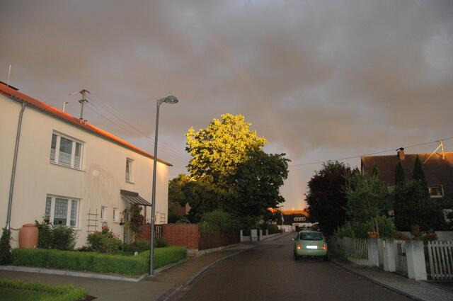 Und wie unsere tolle Buche erleuchtet wird - klasse!