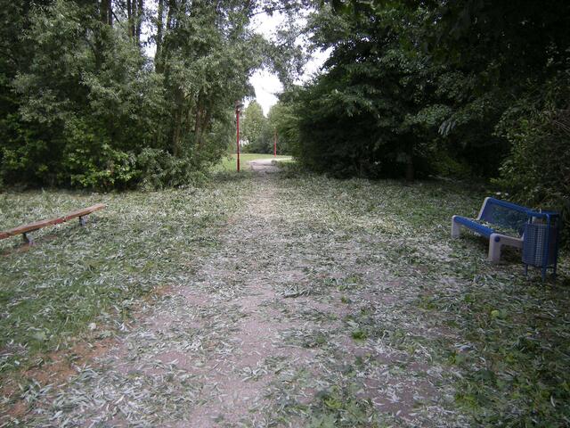 Radweg , ehemalige Bahstrecke nach Hildesheim.