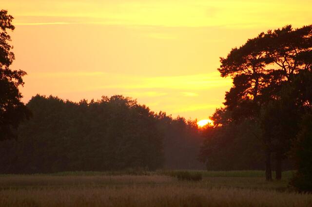 Zwischen Tag und Traum. Kurze Zeit später stieg der Nebel aus den Feldern auf und überzog die Feldmark mit einer märchenhaften weißen Hülle.