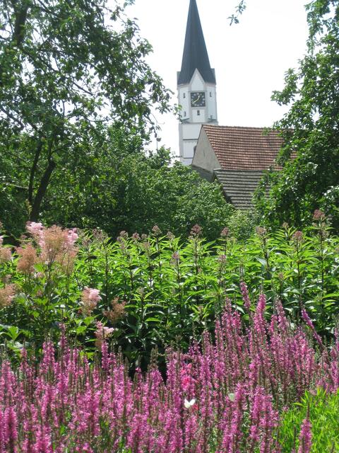 Rainer Stadtpfarrkirche vom Stadtpark aus gesehen ...