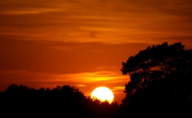 Immer wieder konnte in den vergangenen Wochen auch in Niedersachsen ein (fast) "Afrikanischer Sonnenuntergang" beobachtet werden..