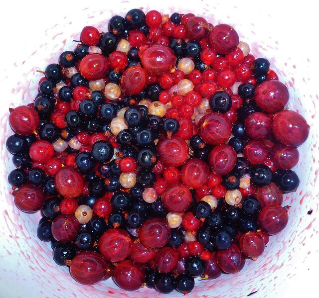 29.7.2013 - Einfach lecker und gesund