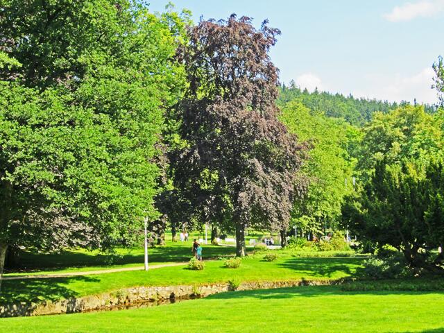 Mariánské Lázně - Marienbad.                                                   Im Park.