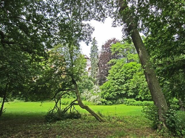 Mariánské Lázně - Marienbad.
Park Alfred-Alexandra.