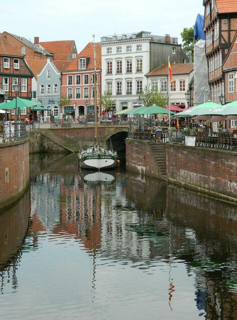 Willi im Wasser der Schwinge