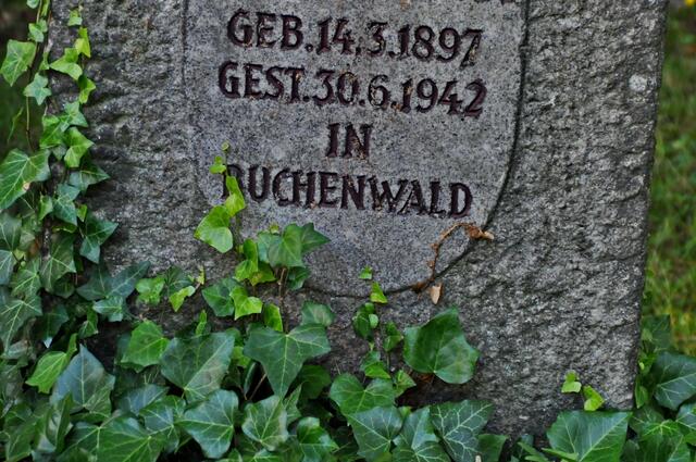 Geschichte ...