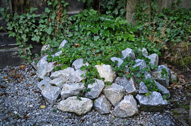 Blumenschmuck ist in der jüdischen Tradition nicht üblich, stattdessen werden kleine Steine auf die Grabplatten gelegt.