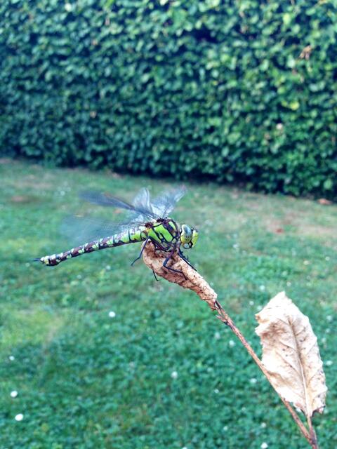 Ready for take-off?