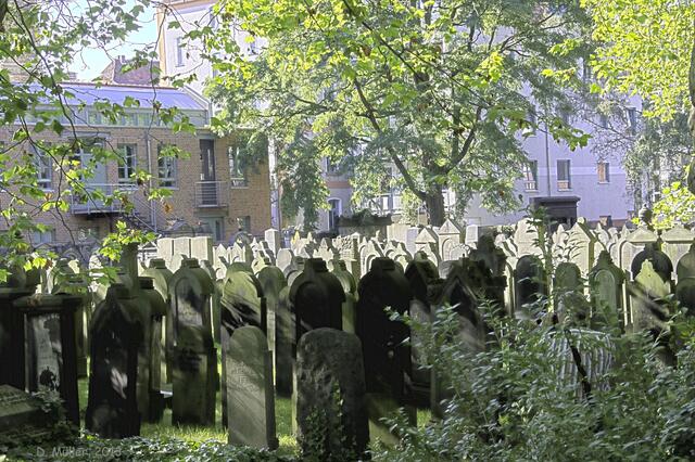 Auf dem alten jüdischen Friedhof Hannover