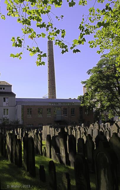 Auf dem alten jüdischen Friedhof Hannover