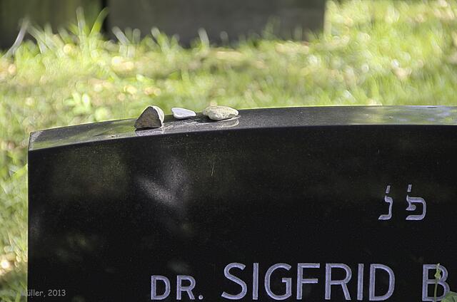 Juden legen keine Blumen auf die Gräber, stattdessen hinterlassen sie einen Stein beim Besuch eines Grabes. Dr. Sigfrid B. hat also noch manchmal Besuch ...