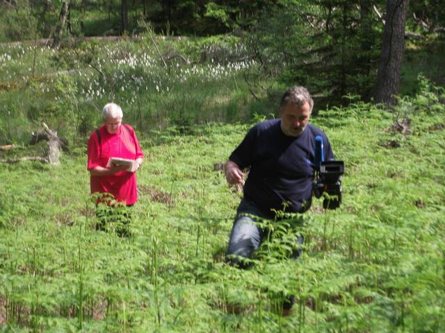 Jochen Schmidt, Redakteur der Sendung "Wandervolles Hessen" kehrt mit seiner Kamera von der Wollgrasfläche zurück.
