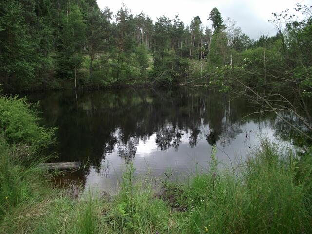 Auch beim Heidehäuschen ist ein Teich.
